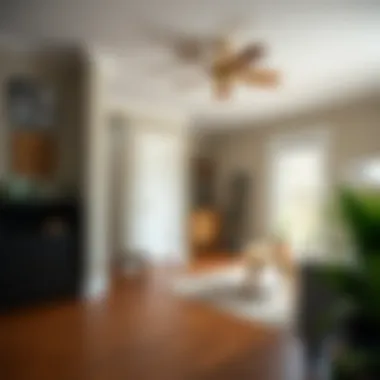 Interior of a renovated foreclosed property