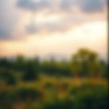 A serene landscape representing peace of mind