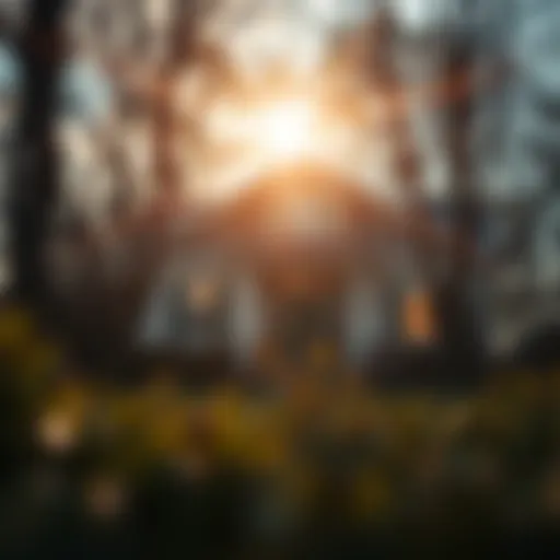 Visual representation of the FHA203 loan benefits