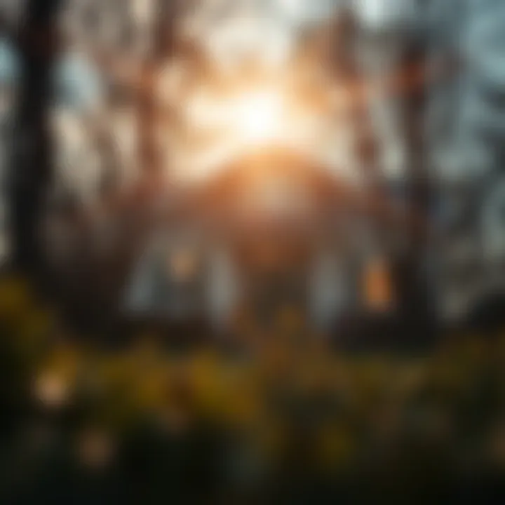 Visual representation of the FHA203 loan benefits