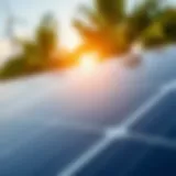 Solar energy harnessing through innovative technology