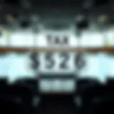 Illustration of different types of Tax Identification Numbers