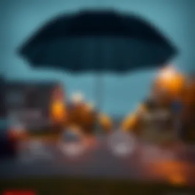 Understanding Coverage Benefits of State Farm Umbrella Policy Infographic detailing coverage benefits