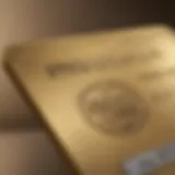 A close-up of the Amex Gold Card showing its distinct design and features.