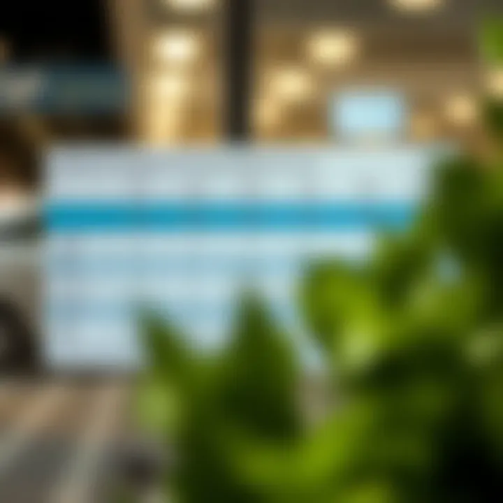 Chart comparing VSP and other insurance